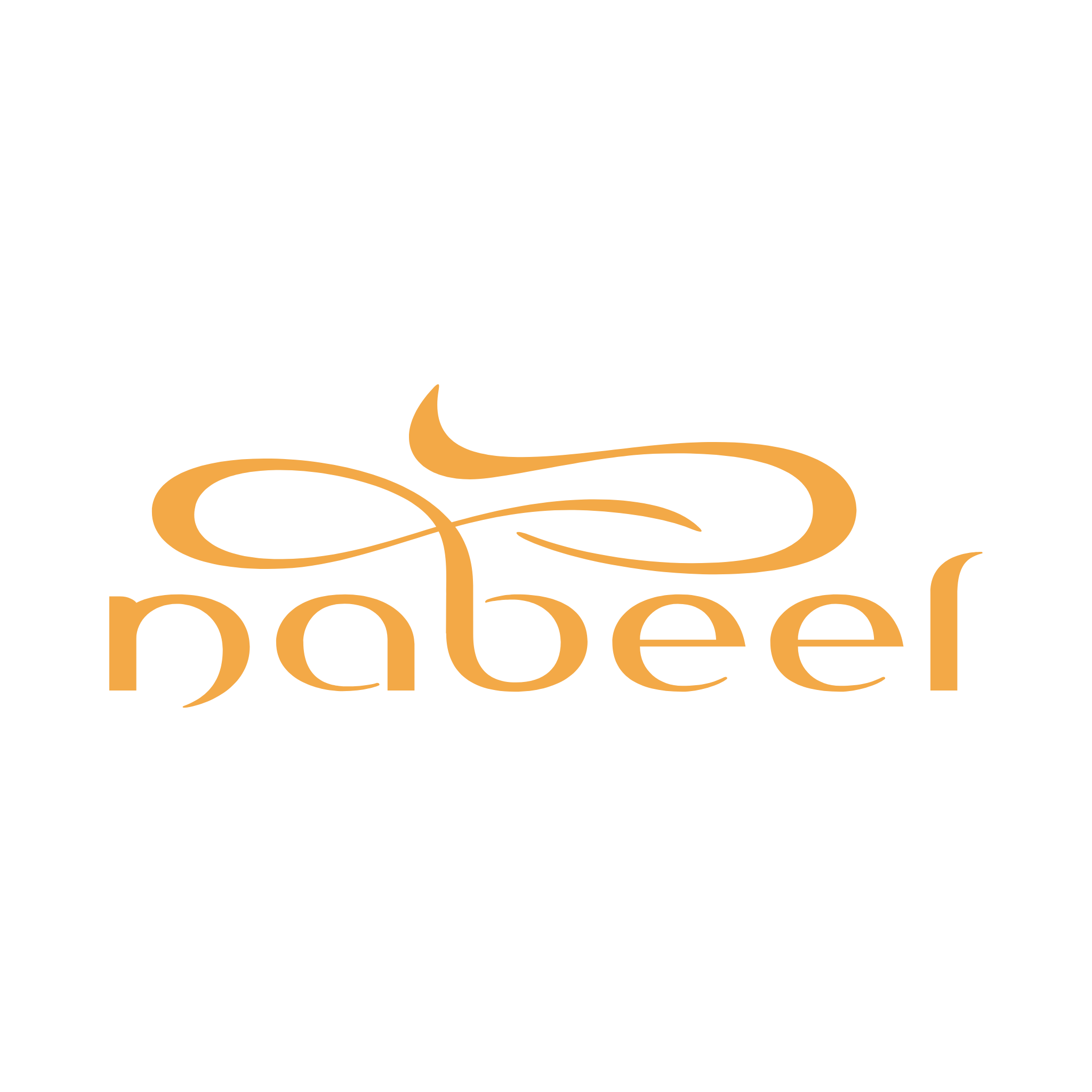 Irth Nabeel - CSRretail